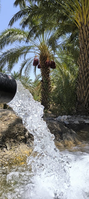 صیانت از آبخوان‌های سیستان و بلوچستان؛ صرفه‌جویی ۵.۱ میلیون مترمکعبی آب با انسداد ۲۲۵ حلقه چاه غیرمجاز و نصب کنتورهای هوشمند